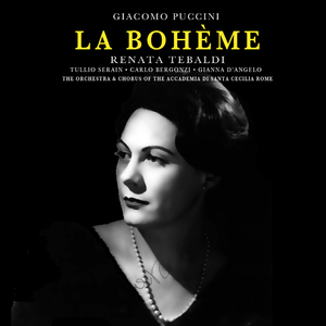 La Bohème: Act III - "Sa dirmi, scusi"