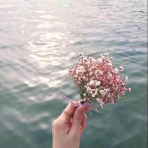 拉骆驼的黑小伙