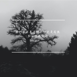 虽然我不善言辞，但还是有很多话想跟你说