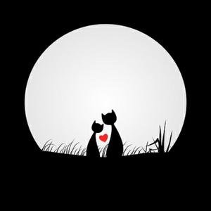 麻烦为我关上月亮