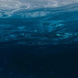 Sinking into the deep sea