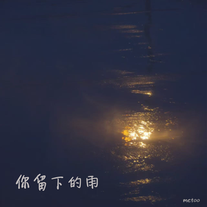你留下的雨