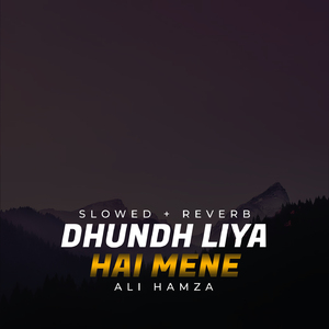 Dhundh Liya Hai Mene Lofi