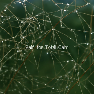 夜の瞑想ピアノBGM (雨)