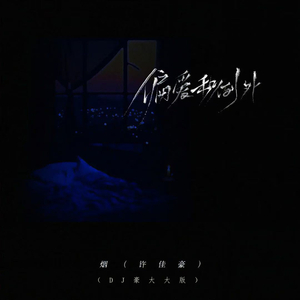 偏爱和例外 (DJ豪大大版)