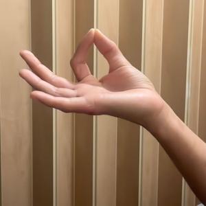 Projectile//Sensate.