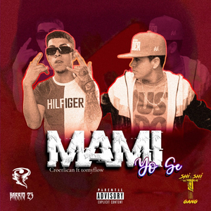 Mami Yo Se