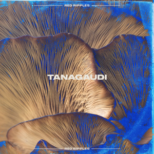 Tanagaudi