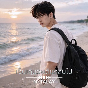 เจ็บเกินจะเดินกลับไป