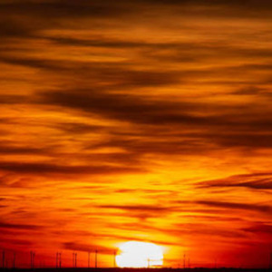 素直になれたら