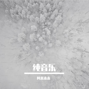 世界上唯一爱我的人也不能再爱我了