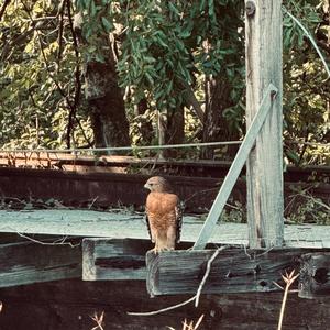 what i can't see won't hurt me