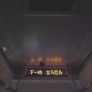 风吹过罗斯福路