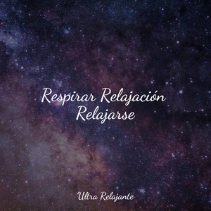 Perfección Después Del Anochecer