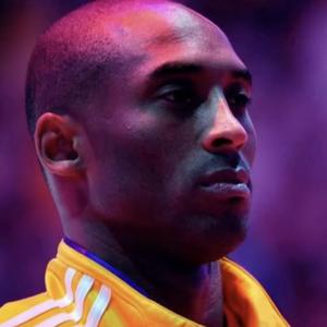 漫山遍野紫金花，回头不见黑曼巴