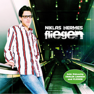 Fliegen (Party Version)