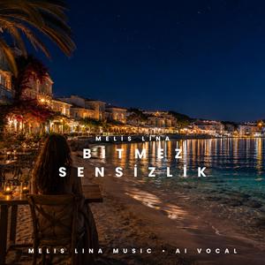 Bitmez Sensizlik