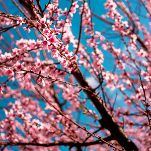 편안한 밤이에요