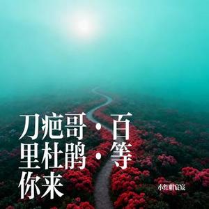 刀疤哥·百里杜鹃·等你来