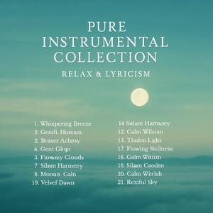 Quiet Rain (Subtle rhythmic drops, delicate tones like rain falling outside.)