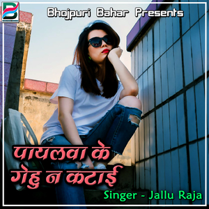 E Jaanu Bhailu