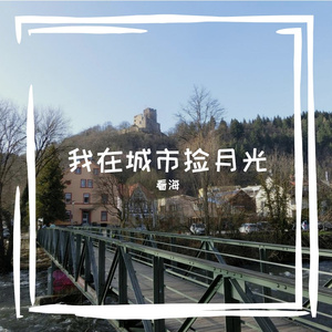 我在城市捡月光