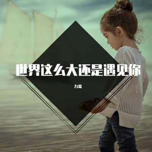 世界这么大还是遇见你（翻自 程响）