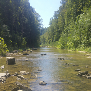 Walk Trough Bethel