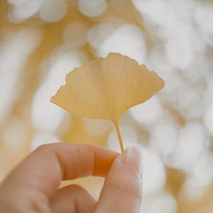 杨花落尽子规啼