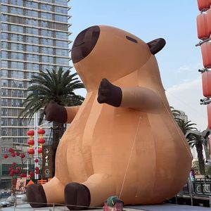 《落日余晖中的温柔浪漫》