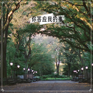 可那就不用分离（缅甸语版）