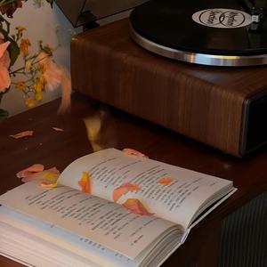 任天堂流泪(cover古巨基)