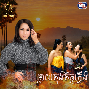ម្តាយចុងចិតភ្លេីង (From "រឿង ជីវិតក្រោមភ្លើងពណ៌")