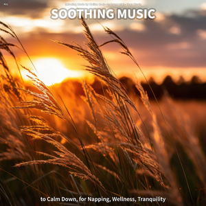 Relaxing Music for Joy