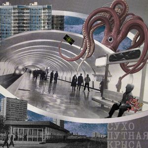 Сухопутная крыса