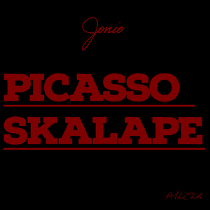 PICASSO / SKALAPE