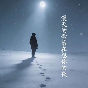 漫天的雪落在想你的夜