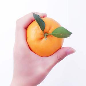 爱情【吉他弹唱版】