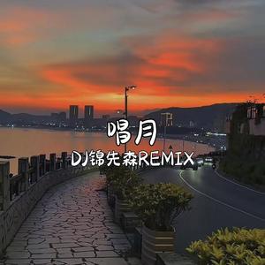 唱月 (DJ锦先森 Remix)