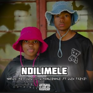 Ndilimele