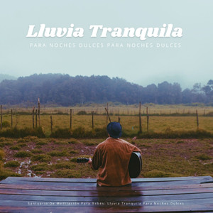 Armonía De Lluvia Para La Meditación Del Bebé