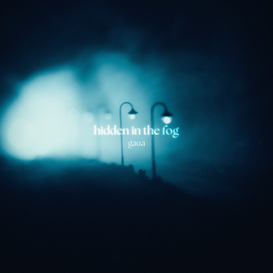 hidden in the fog