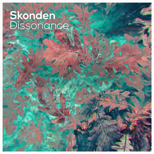 Dissonance