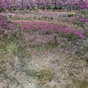 верни судьбу