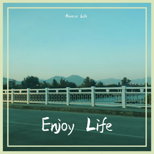 Enjoy Life (Extened Mix)