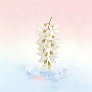 夏：第一人称叙事