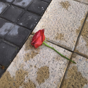 No Sé Lo Que Quiero Pero Sé Que No Eres Tú (Acústica en directo)