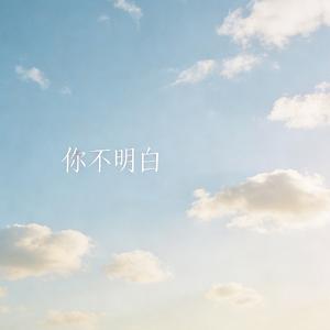 你不明白 动感版