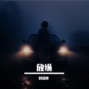放纵