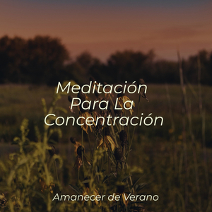 Arrebatado en Brazos Dorados